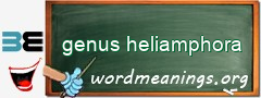 WordMeaning blackboard for genus heliamphora